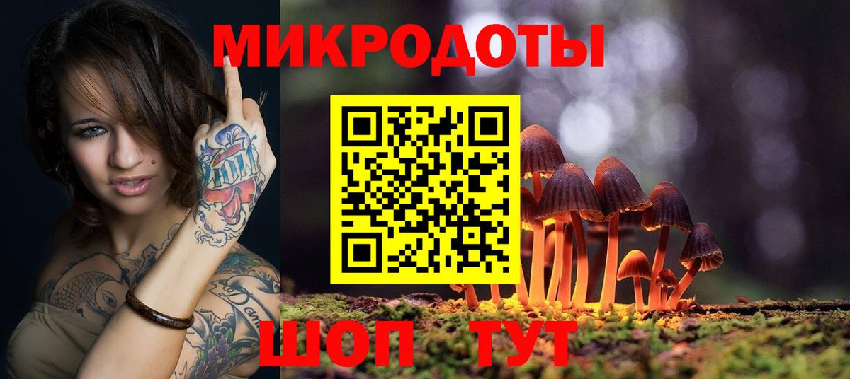 Галлюциногенные грибы мицелий  Вход с VPN  Тула  Галлюциногенные грибы Psilocybe 